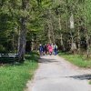 2025-maiwanderung-021